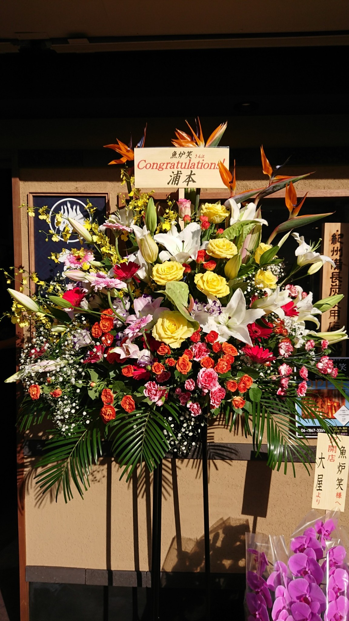 池田市の居酒屋さんの開店祝い フラワーギフト アレンジメントの阪本園芸 大阪市内なら即配達 開店祝いの胡蝶蘭やスタンド花