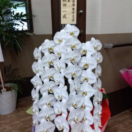 IMG_2022-11-30-10-42-32-387