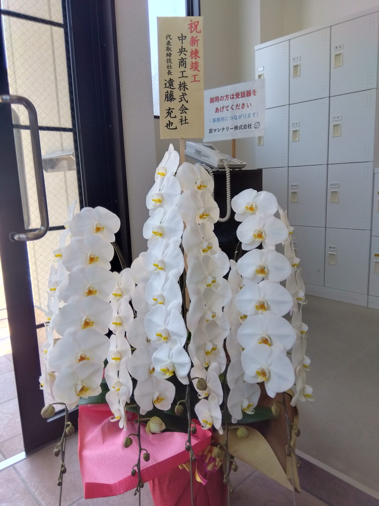大阪市 西淀川区へ竣工お祝いの胡蝶蘭
