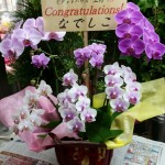 淀川区　新営業所開設のお祝い花