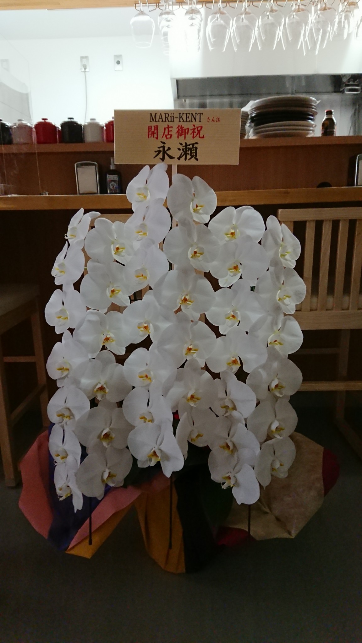 東大阪市へイタリアンレストラン開店お祝いの胡蝶蘭