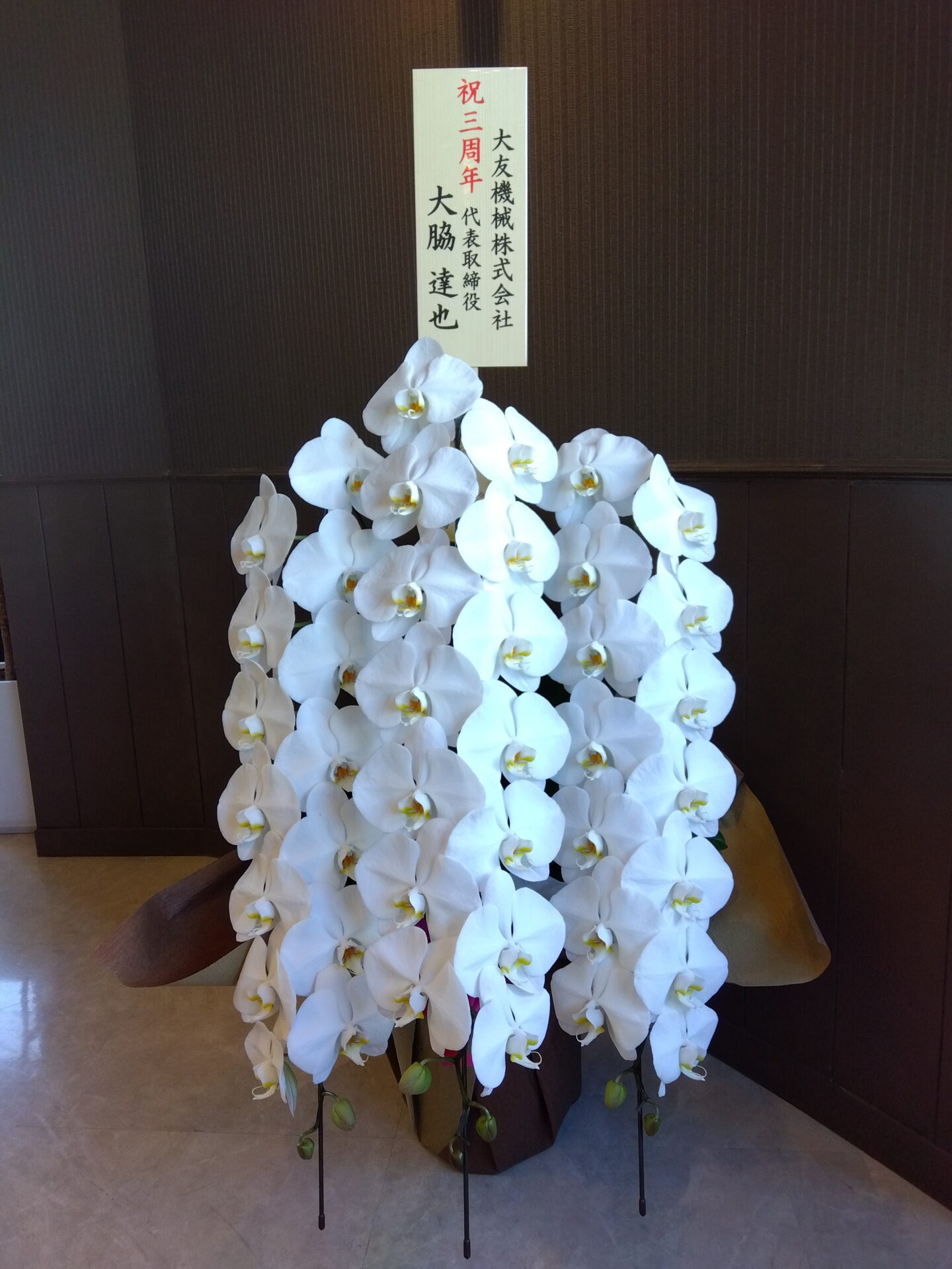 東大阪市 花園本町へ周年お祝いの胡蝶蘭