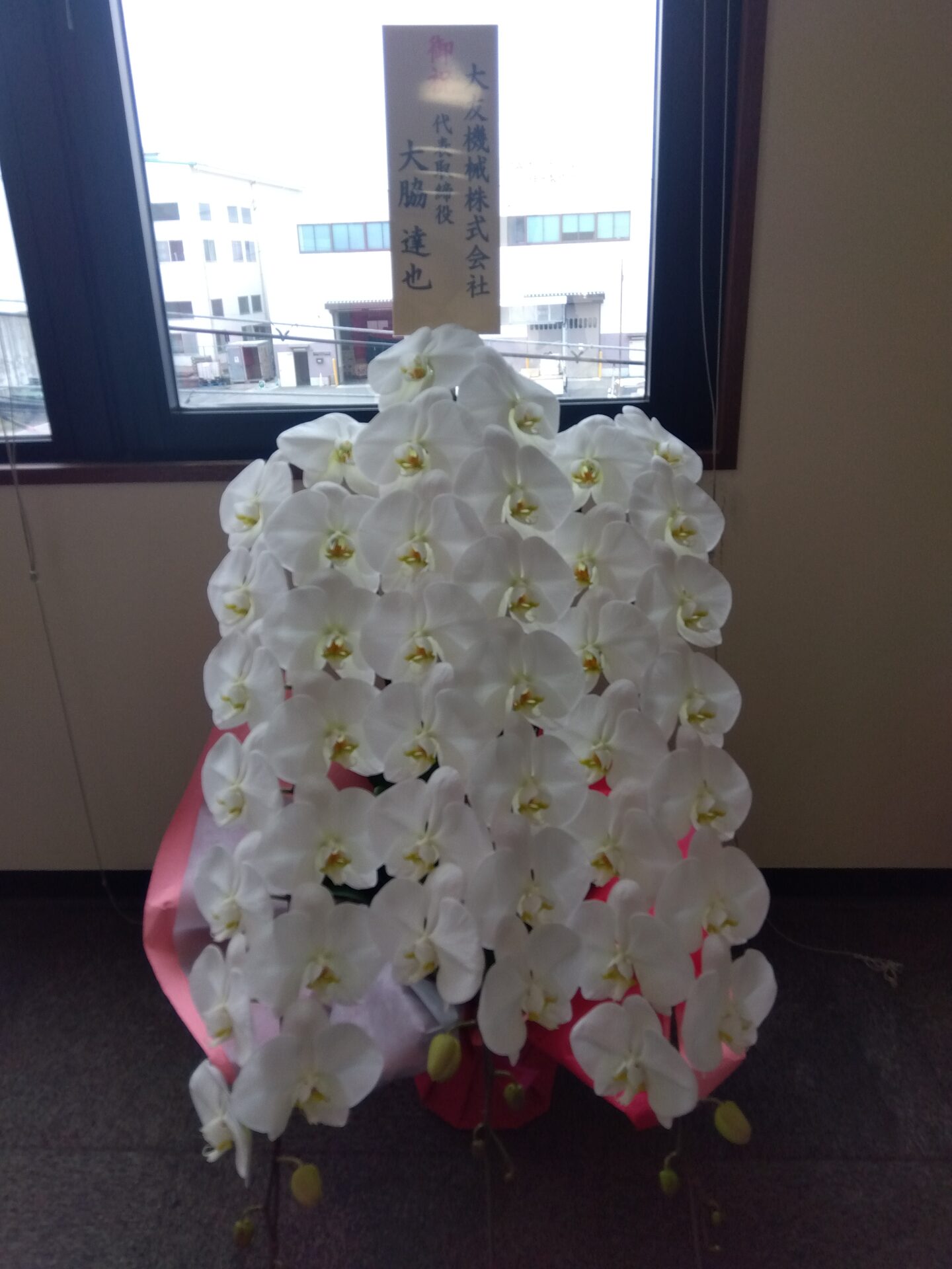 東大阪市へ新工場開設のお祝いの胡蝶蘭