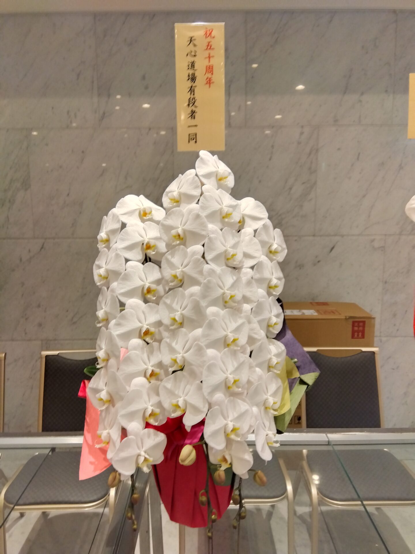 プラザオーサカへ周年パーティーのお祝いの胡蝶蘭