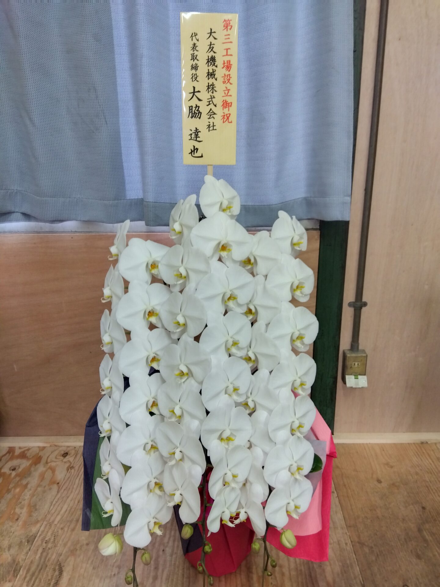 豊中市へ工場開設のお祝いの胡蝶蘭