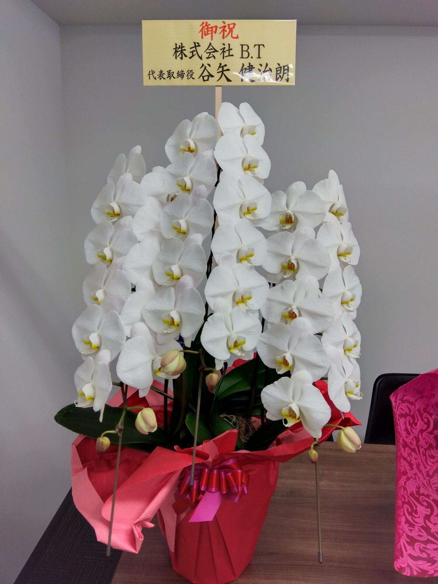 大阪市 淀川区へ会社設立のお祝いの胡蝶蘭