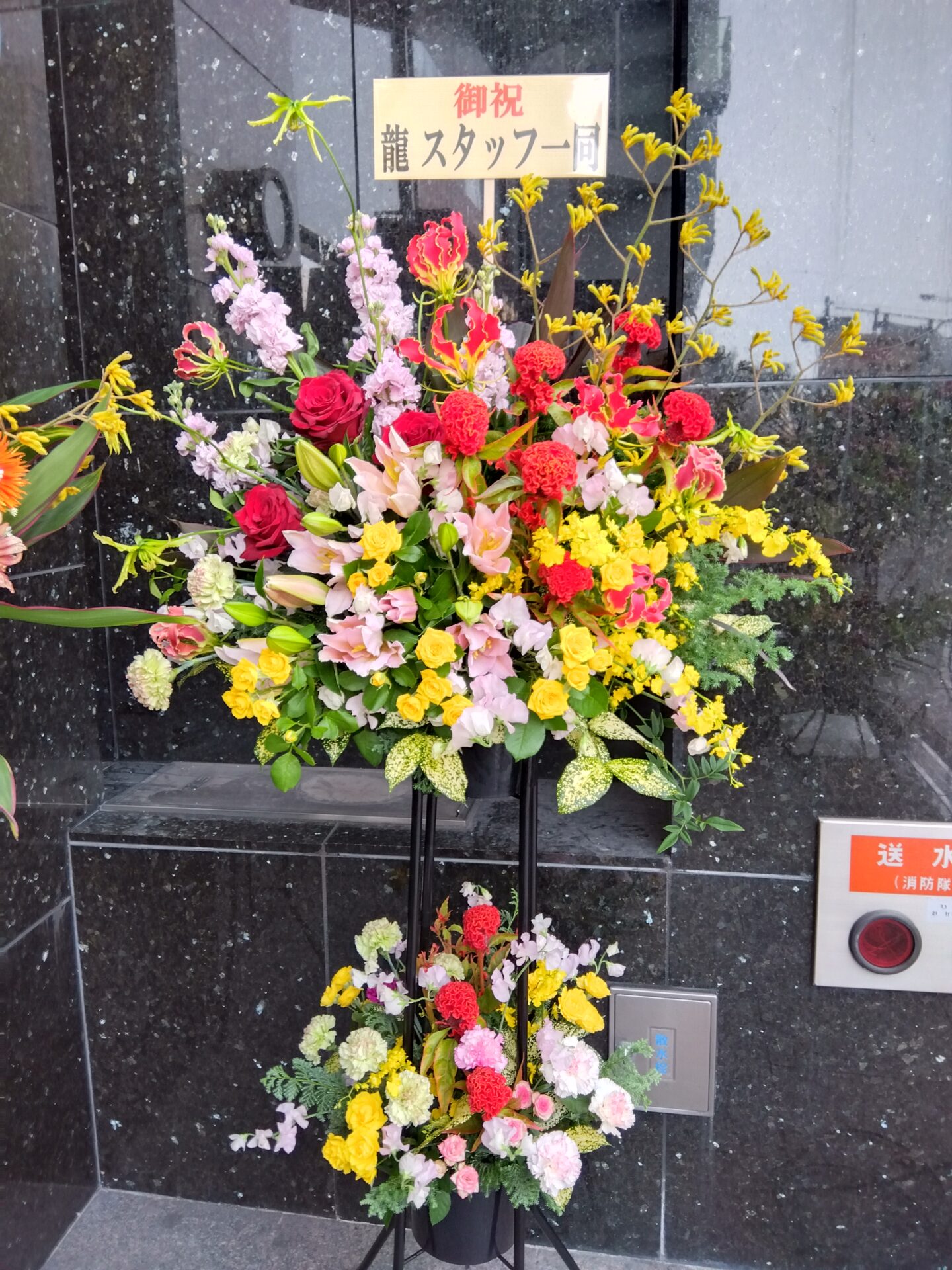 大阪市 北区 東天満の焼き鳥居酒屋さんの開店お祝いのスタンド花