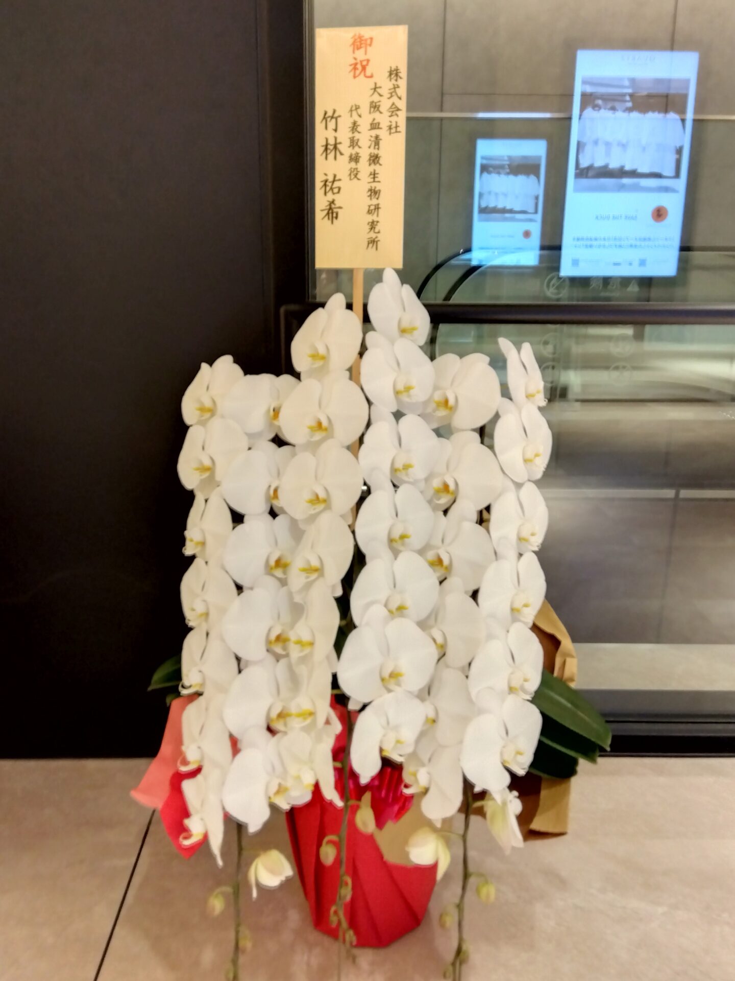 クォーツ心斎橋へレディースクリニックの開院お祝いの胡蝶蘭_メイン画像