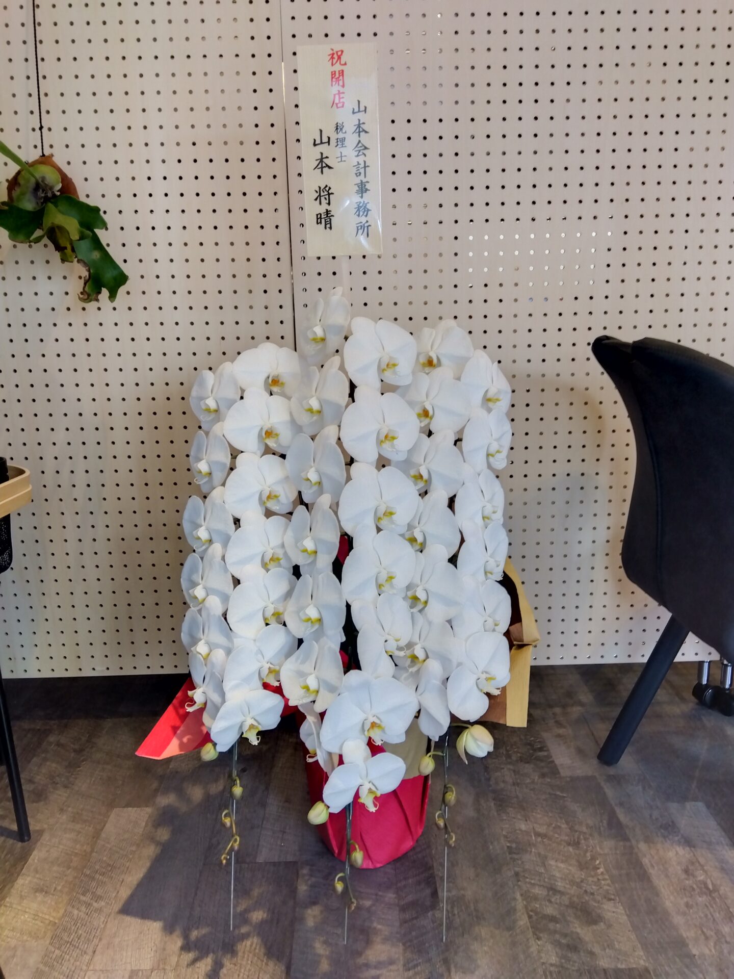 茨木市のお弁当屋さんの開店お祝いの胡蝶蘭_メイン画像