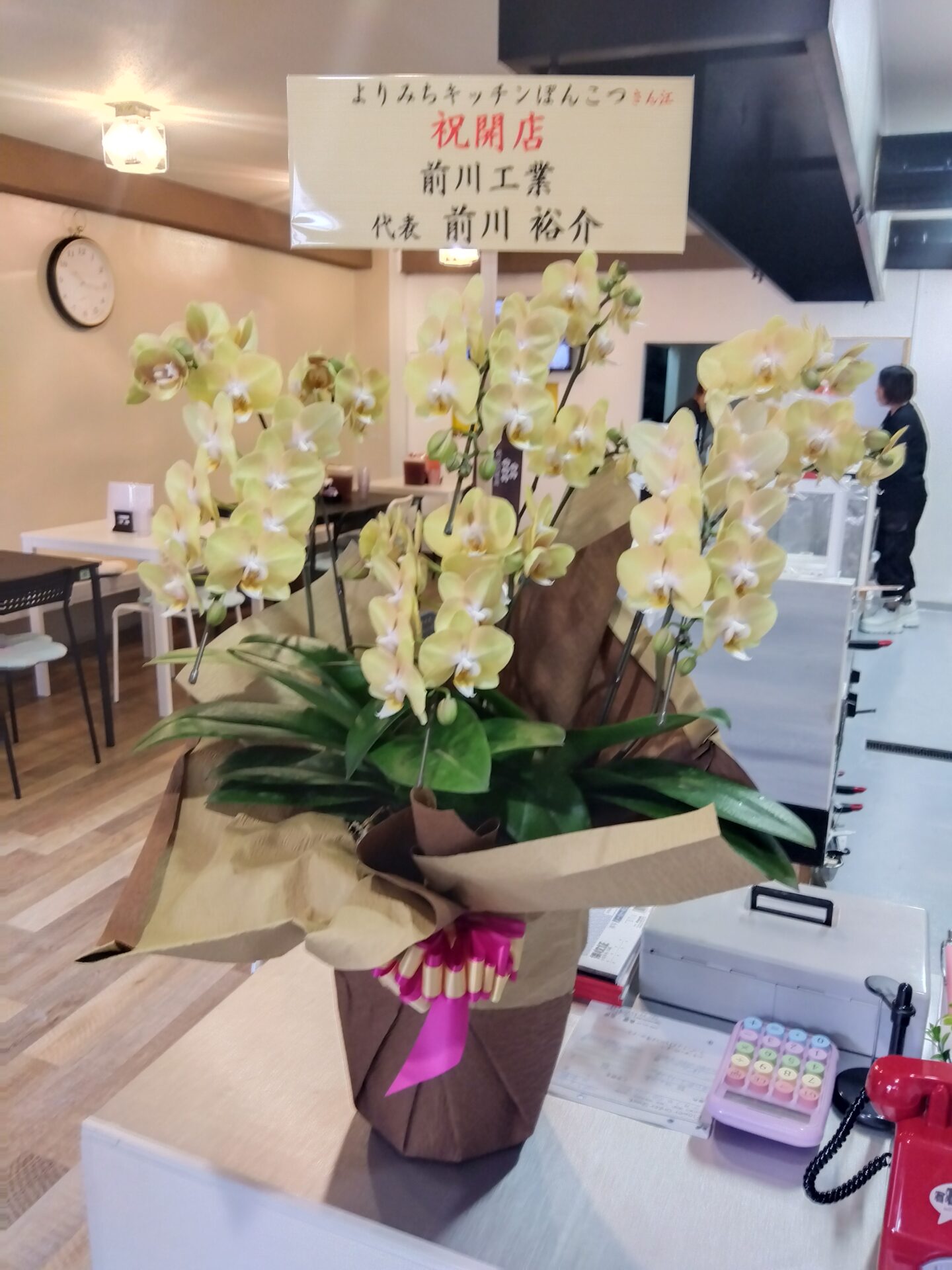 大阪市 住之江区へ開店お祝いの胡蝶蘭_メイン画像