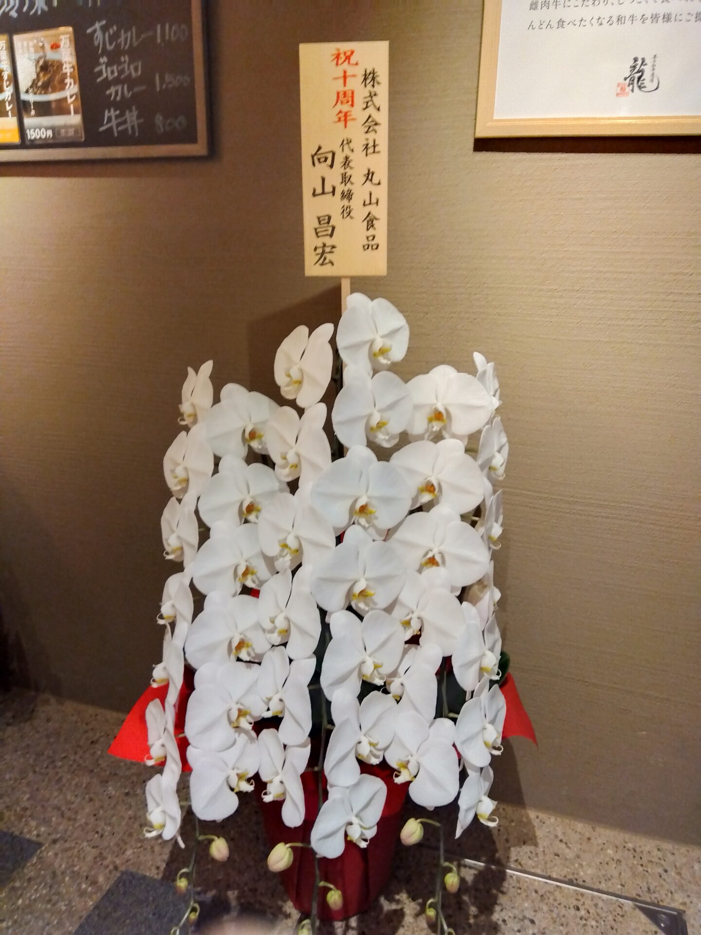 大阪市 東淀川区 淡路の焼肉店さんの周年お祝いの胡蝶蘭_メイン画像